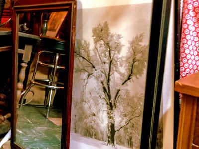 Friday Fotos: Exotia [hallucinated city]