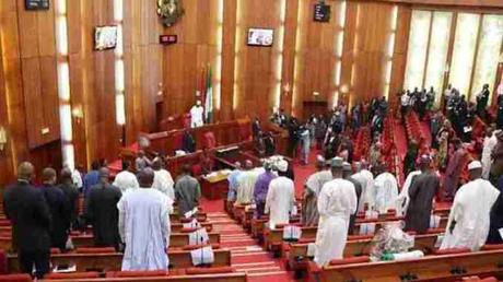 Mild Drama In Senate As Buhari NDDC Board Nominee’s CV Reads He Obtained HND Before O’Level