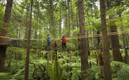 Discover New Zealand on your Lord of the Rings tour