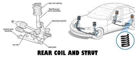 Rear Coil & Strut