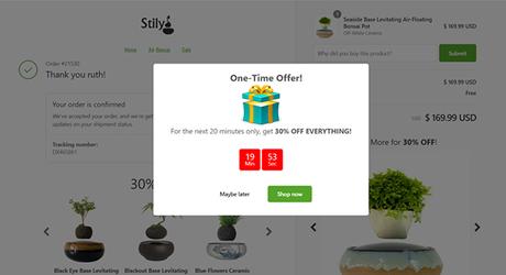 Thank You Page: How to boost your Shopify store sales with a simple detail