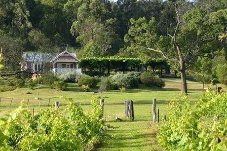 sydney tours tripadvisor real chef led hunter valley gourmet food and wine day trip from