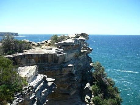 sydney tours tripadvisor harbor boat also known as suicide point at the gap picture of free