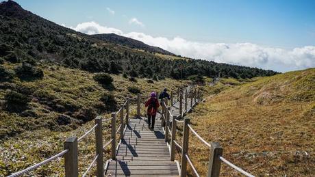 Hiking Tips for the Yeongsil Trail on Mount Hallasan on Jeju Island