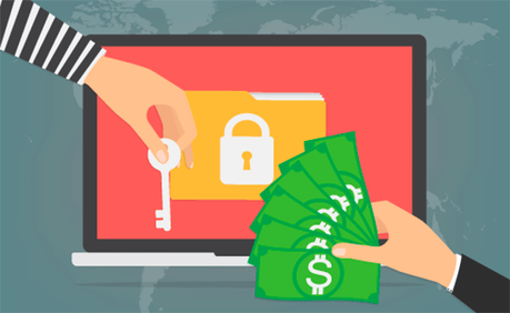 Securing Your WordPress Website