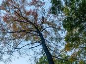 More Photos from BAPC Camping Trip Balance Yesterday's Manhattan Flix]