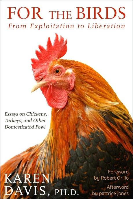 stories about chickens submitting for chicken soup books merchandise