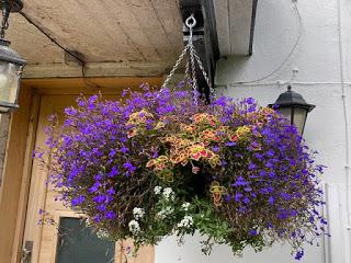 The Hanging Basket