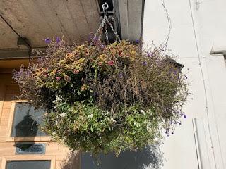 The Hanging Basket