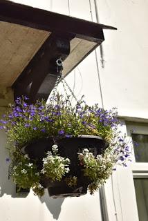 The Hanging Basket