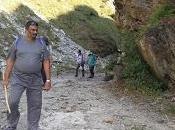 Trekking Near Dharamshala