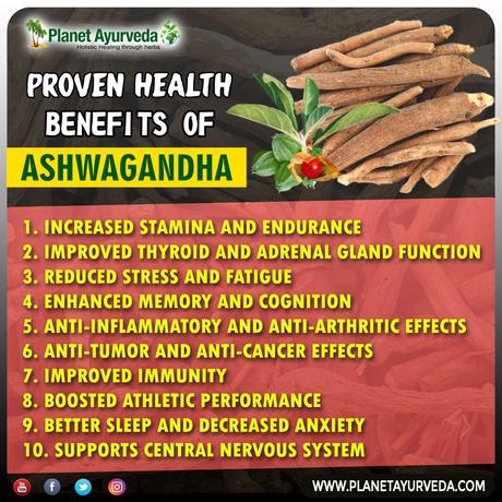What Are The Health Benefits and Medicinal Properties of Ashwagandha Powder What Are The Health Benefits and Medicinal Properties of Ashwagandha Powder