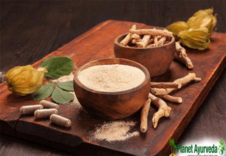 What Are The Health Benefits and Medicinal Properties of Ashwagandha Powder What Are The Health Benefits and Medicinal Properties of Ashwagandha Powder