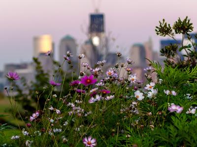 The Hallucinated City: Manhattan Vertical