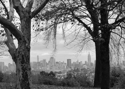 The Hallucinated City: Manhattan Vertical