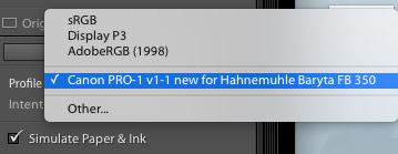 Lightroom Soft Proofing Profile Selection