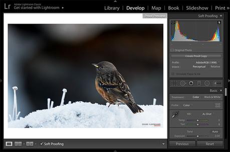 Lightroom Soft Proofing