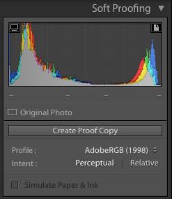 Soft Proofing Menu in Lightroom