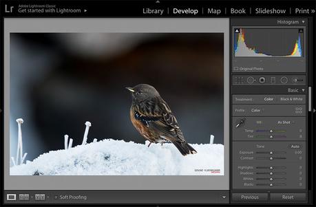 Lightroom Develop Module