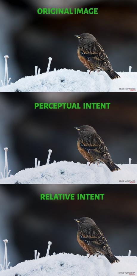 Actual Vs Perceptual Vs Relative Intent