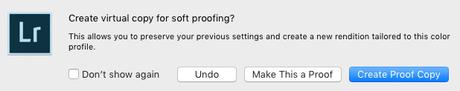 Proof Copy Popup in Lightroom