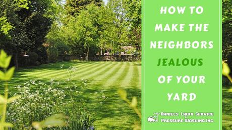 How to Make the Neighbors Jealous of Your Yard