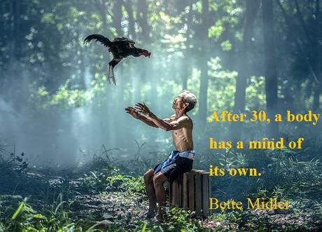 Inspirational Quotes for Men Bette Midler Quotes