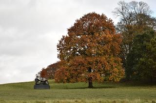 A November walk at the Yorkshire Sculpture Park