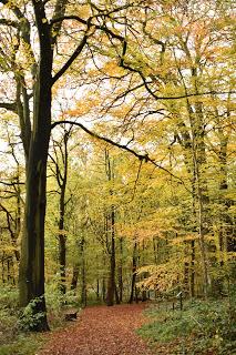 A November walk at the Yorkshire Sculpture Park