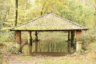 A November walk at the Yorkshire Sculpture Park