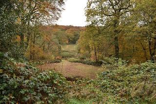 A November walk at the Yorkshire Sculpture Park