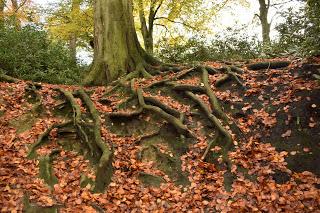 A November walk at the Yorkshire Sculpture Park