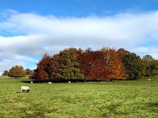 A November walk at the Yorkshire Sculpture Park