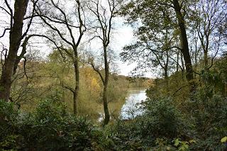 A November walk at the Yorkshire Sculpture Park