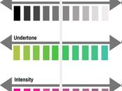 Understanding Warm Muted Colours