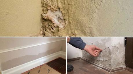 What Are The Common Signs And Causes Of Rising Damp?