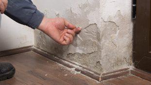 What Are The Common Signs And Causes Of Rising Damp?