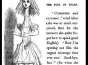 Monday Market Momentum Still Going