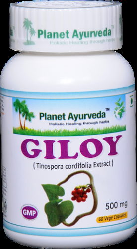 Alternative Treatments and Diets For Dengue Patients Alternative Treatments and Diets For Dengue Patients