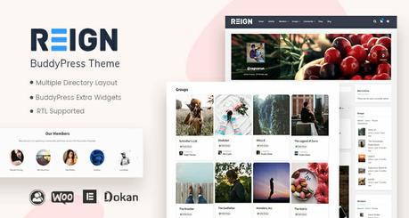 WordPress BuddyPress Intranet Website