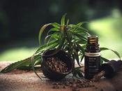 Conditions Which Using Great Idea