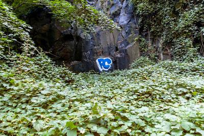 The Hallucinated City: What's the deal with green?