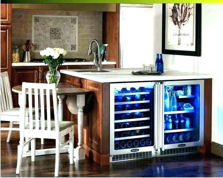 countertop wine refrigerators best cooler reviews top rated