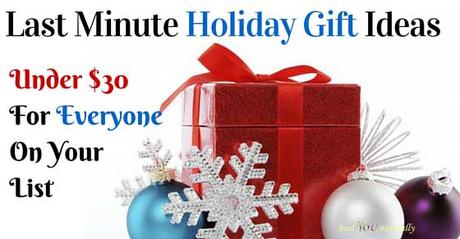 Last Minute Holiday Gift Ideas Under $30.00