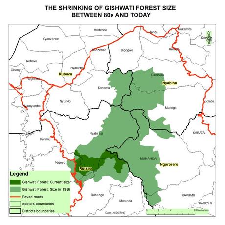 One to watch: Gishwati – Mukura, Rwanda’s newest national park