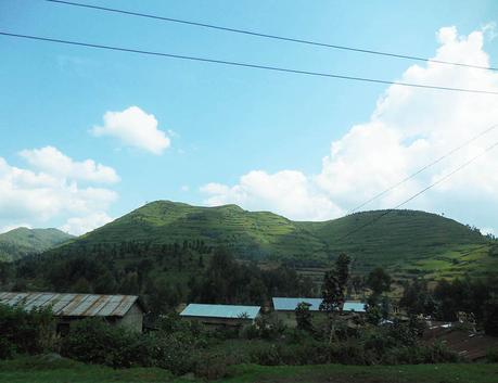 One to watch: Gishwati – Mukura, Rwanda’s newest national park