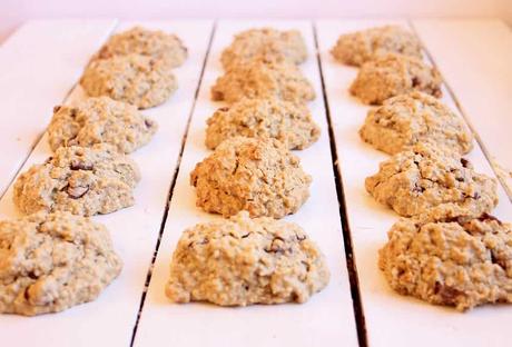 Lactation Cookie Recipe (Vegan, Gluten-Free)