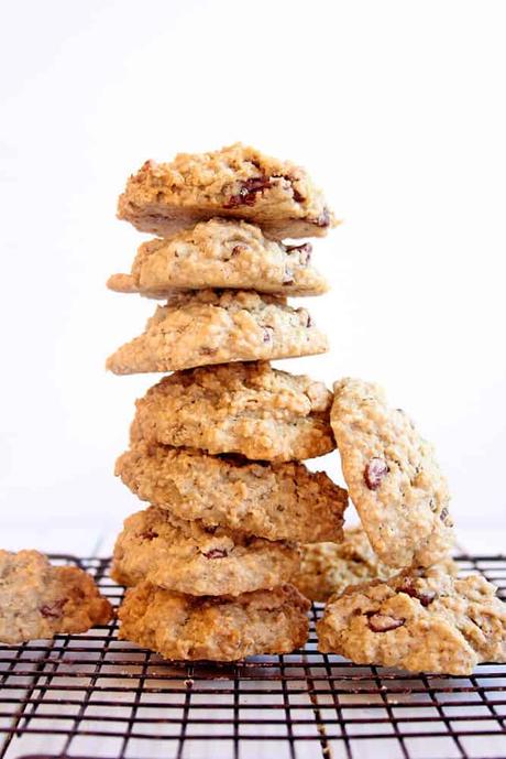 Lactation Cookie Recipe (Vegan, Gluten-Free)