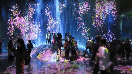 How to Go to teamLab Borderless Museum and My Experience