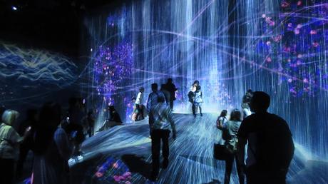 How to Go to teamLab Borderless Museum and My Experience
